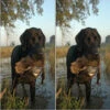 Duck Hunting Cornhole Wraps - Set Of 2 -Best Toy Shop Dog Hunter 27147.1447101942