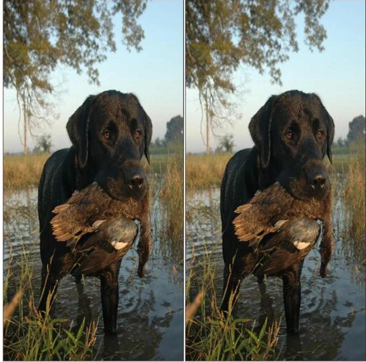 Duck Hunting Cornhole Wraps - Set Of 2 3 Duck Hunting Cornhole Wraps - Set Of 2