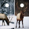 Elk In Snow Cornhole Wraps - Set Of 2