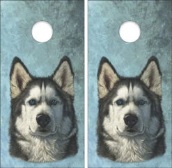 Husky Portrait Cornhole Wraps - Set Of 2