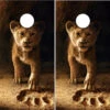 The Lion King Cornhole Wraps - Set Of 2 1 The Lion King Cornhole Wraps - Set Of 2 -Best Toy Shop Lion King Cornhole Wraps 27047.1566770642
