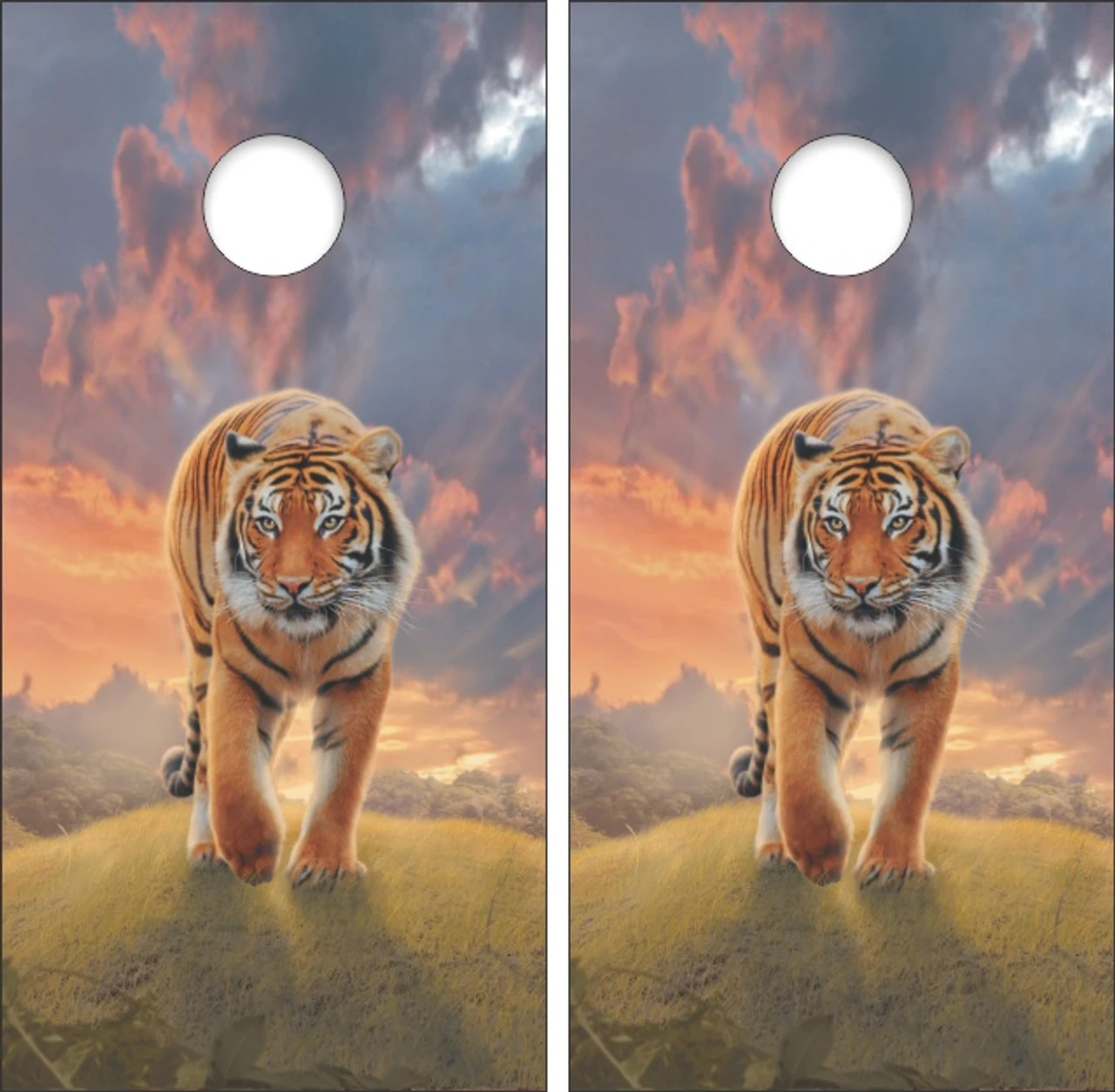 Rising Tiger Cornhole Set With Bags 4 Rising Tiger Cornhole Set With Bags - Image 2