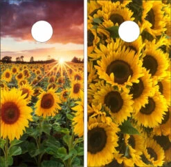 Sunflowers Cornhole Wraps - Set Of 2